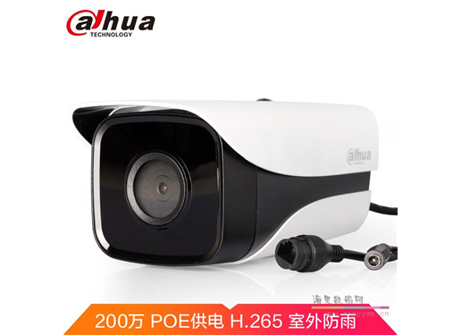 大华 1230m-i2-v2 POE 200w 像素 高清摄像头
