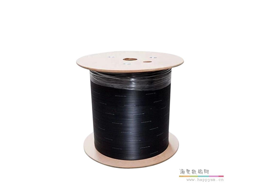 12芯 单模室外光纤 GYXTW 中心管式轻铠装