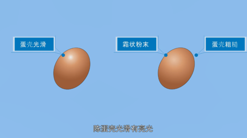 怎么挑选鸡蛋？