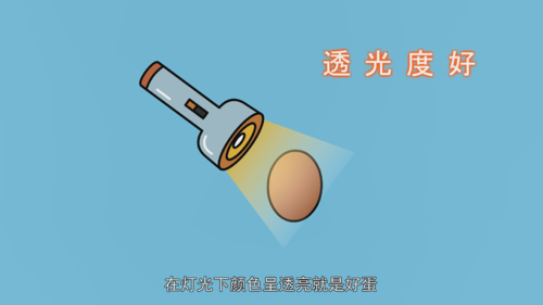 怎么挑选鸡蛋？
