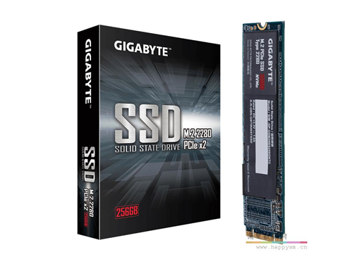 技嘉  256G SSD固态硬盘  M.2  猛盘