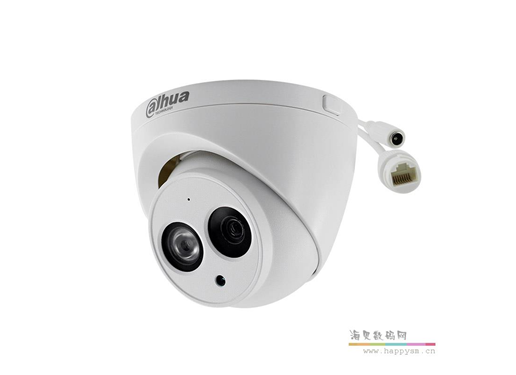 大华 HDW1230C-A   半球 3.6mm 200万poe网络高清摄像头室内半球监控无线手机远程