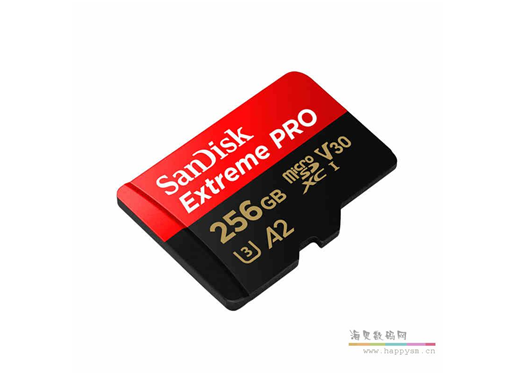 闪迪 A2 C10 256G  160MB/S TF手机卡 U3 V30 至尊极速移动版