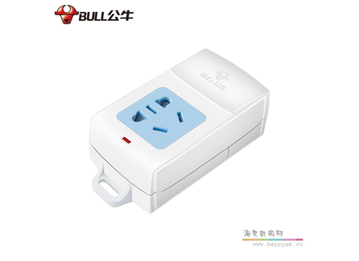 公牛 GN-A01 (10A 250V) 单口 双用插排
