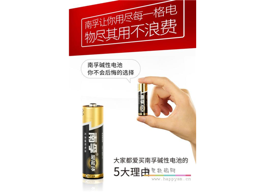 南孚 5号 电池
