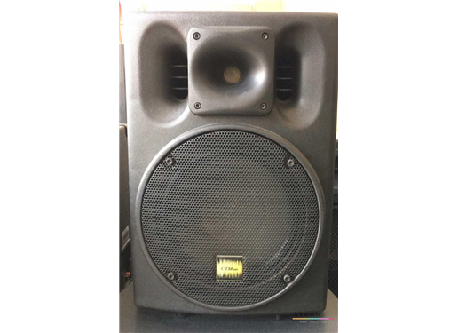 CTM PS10 音箱