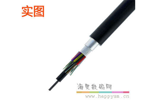亨通 GYTA-12B1.3  单模光缆