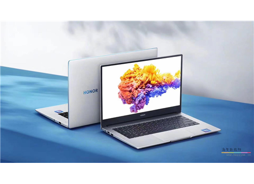 荣耀 MagicBook 14 SE  （R5-3500U/16G/512G/银 高清屏）