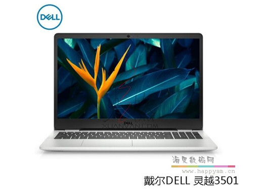 戴尔 灵越 3501-1625S (i5 1135G7/8G/512G/MX330/窄边框/15英寸)