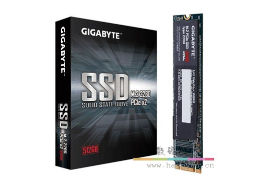 技嘉 1T SSD固态硬盘 M.2  猛盘