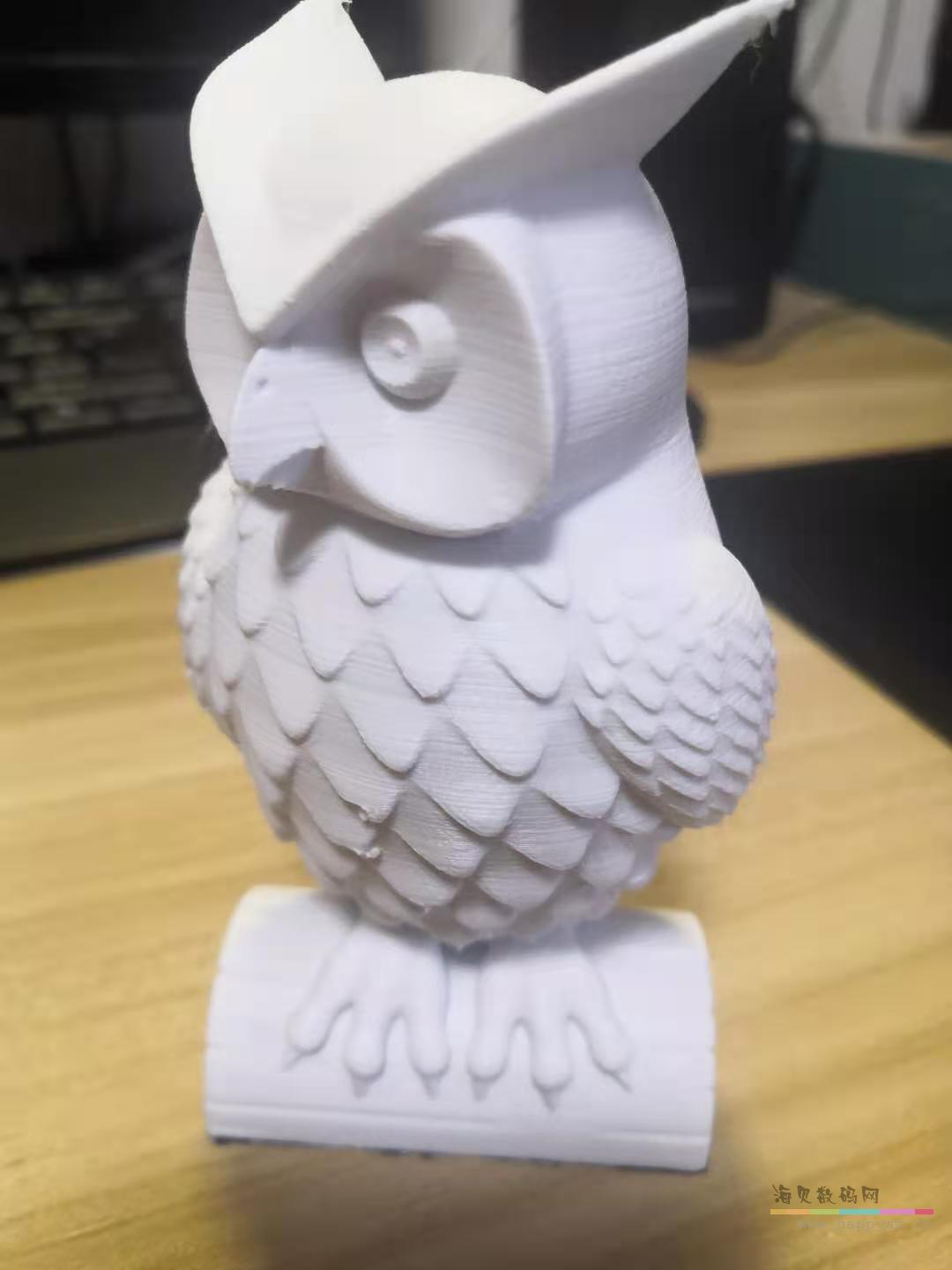 猫头鹰 白 黑 各种颜色 3D 打印