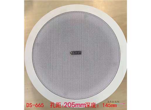 TADS DS-665 孔距：205mm 深度：145mm (20-30W)