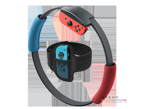 任天堂 健身环