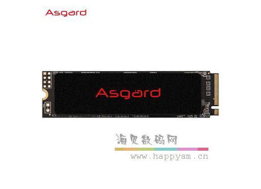 阿斯加特 AN2 250G 固态硬盘 m.2 ssd