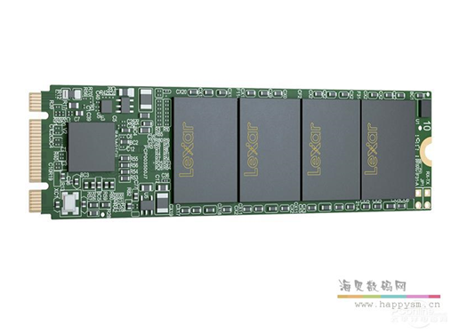 雷克沙 NM100 M.2  固态硬盘 SSD