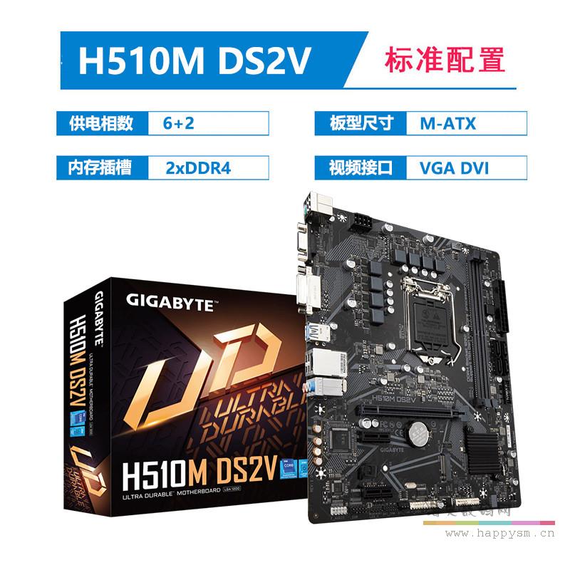 H510M DS2V
