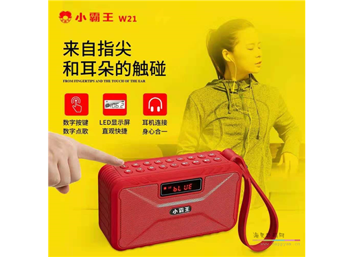 小霸王 W21 数字播放器 收音机