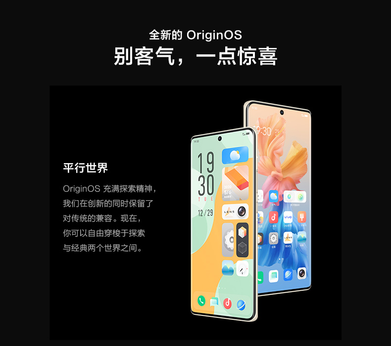 VIVO X60 Pro+ 手机 5G