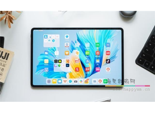 华为 MatePad Pro 12.6英寸 21款 WGR-W09