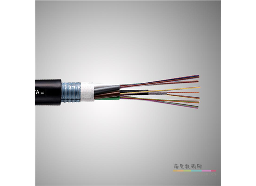 南领 8芯/24芯单模铠装光缆