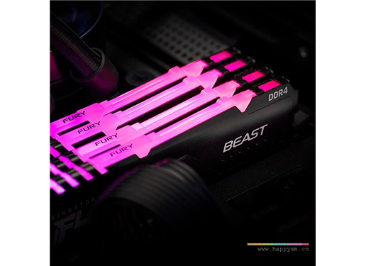 金士顿 FURY Beast 野兽系列 RGB 灯条 DDR4 3200