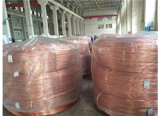 博士联宽 J100 100只无氧铜 2x0.5