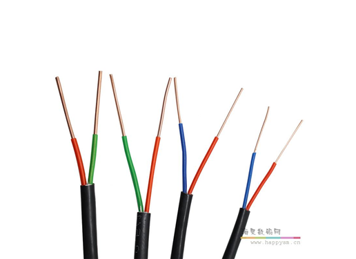 2*4 电缆线 RJY2*4