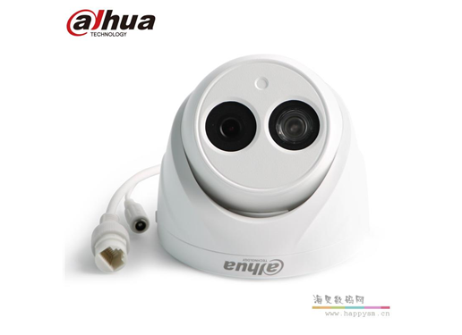 大华 DH-P20T1 200W 像素 POE 供电摄像头