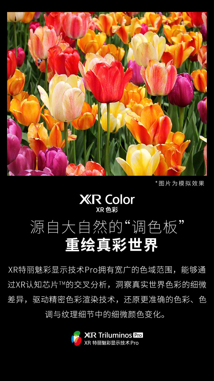 索尼 XR-83A90J OLED液晶电视 4K