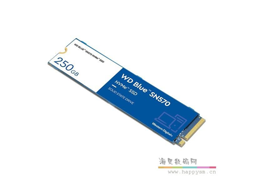 西部数据 SN570 固态硬盘 SSD台式机m.2 系统升级DIY装机PC存储NVMe