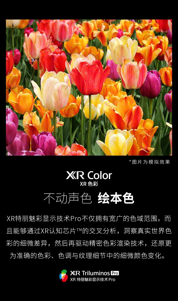索尼 XR-65X95J 65英寸XR芯片4K智能液晶电视