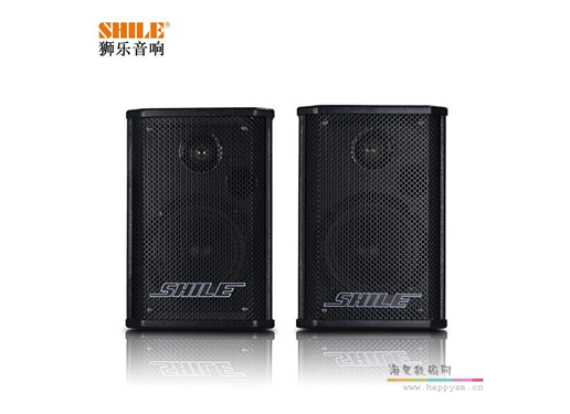 狮乐 BX101室内6寸无源音箱家庭影院背景音乐壁挂式会议音响