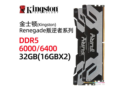金士顿 叛逆者 DDR5 台式机内存