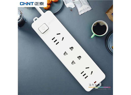 正泰 S1-1122(1.8m) 二联二级/二联二极三极