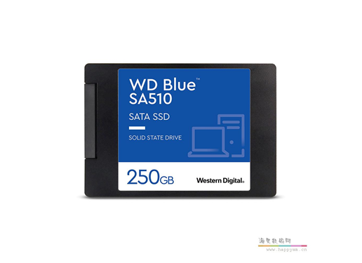 西部数据 蓝盘 SA510 SATA SSD 固态硬盘