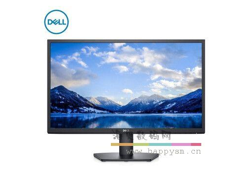 戴尔 SE2422HM 显示器