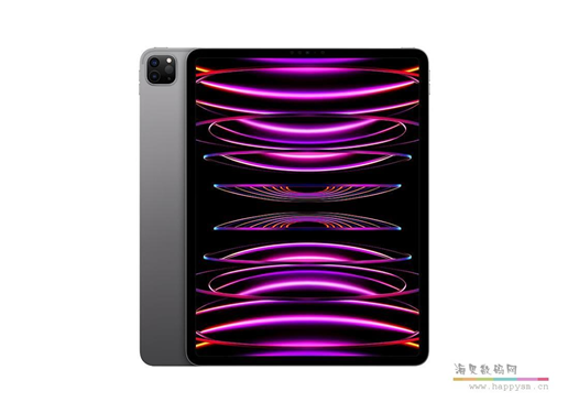 苹果 iPad  Pro 2022 12.9英寸