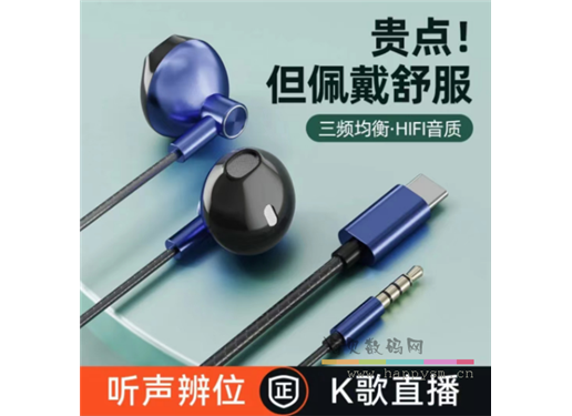 铂典 电竞游戏耳机辨位有线typec接口耳塞