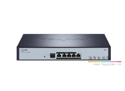 TP-LINK 域联 | 双核多WAN口千兆企业VPN路由器  YLR406-E