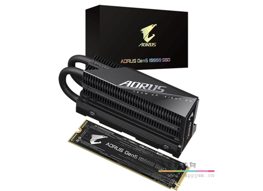 技嘉 大雕 510K   AORUS Gen5 10000 SSD