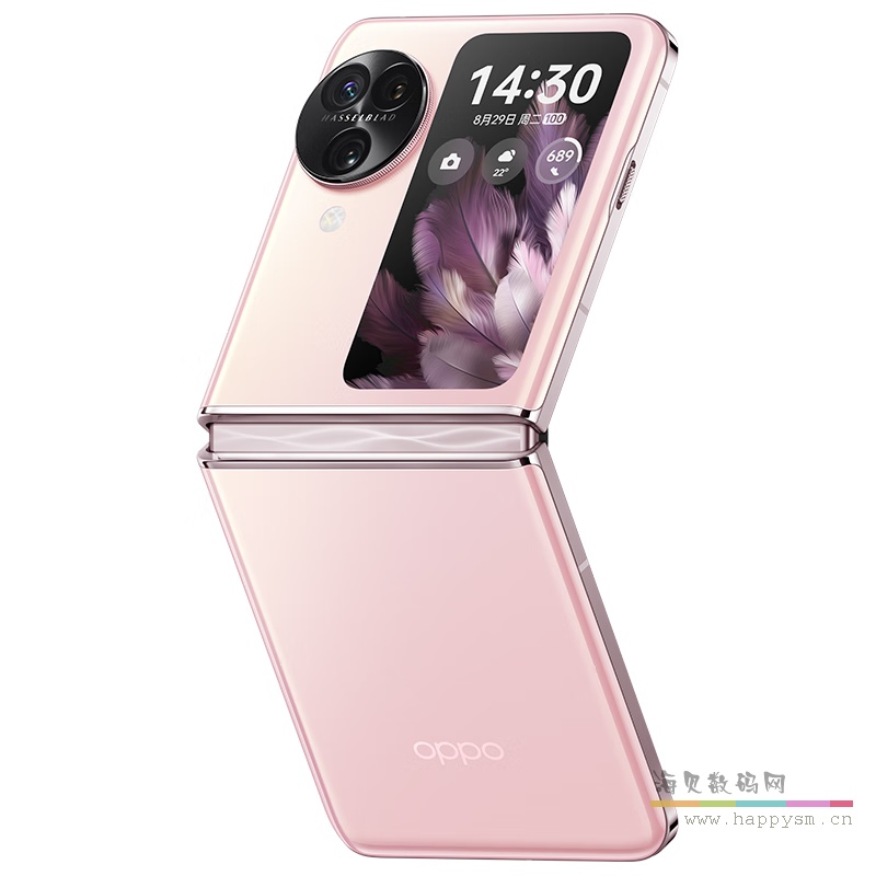 薄雾玫瑰12GB+256GB