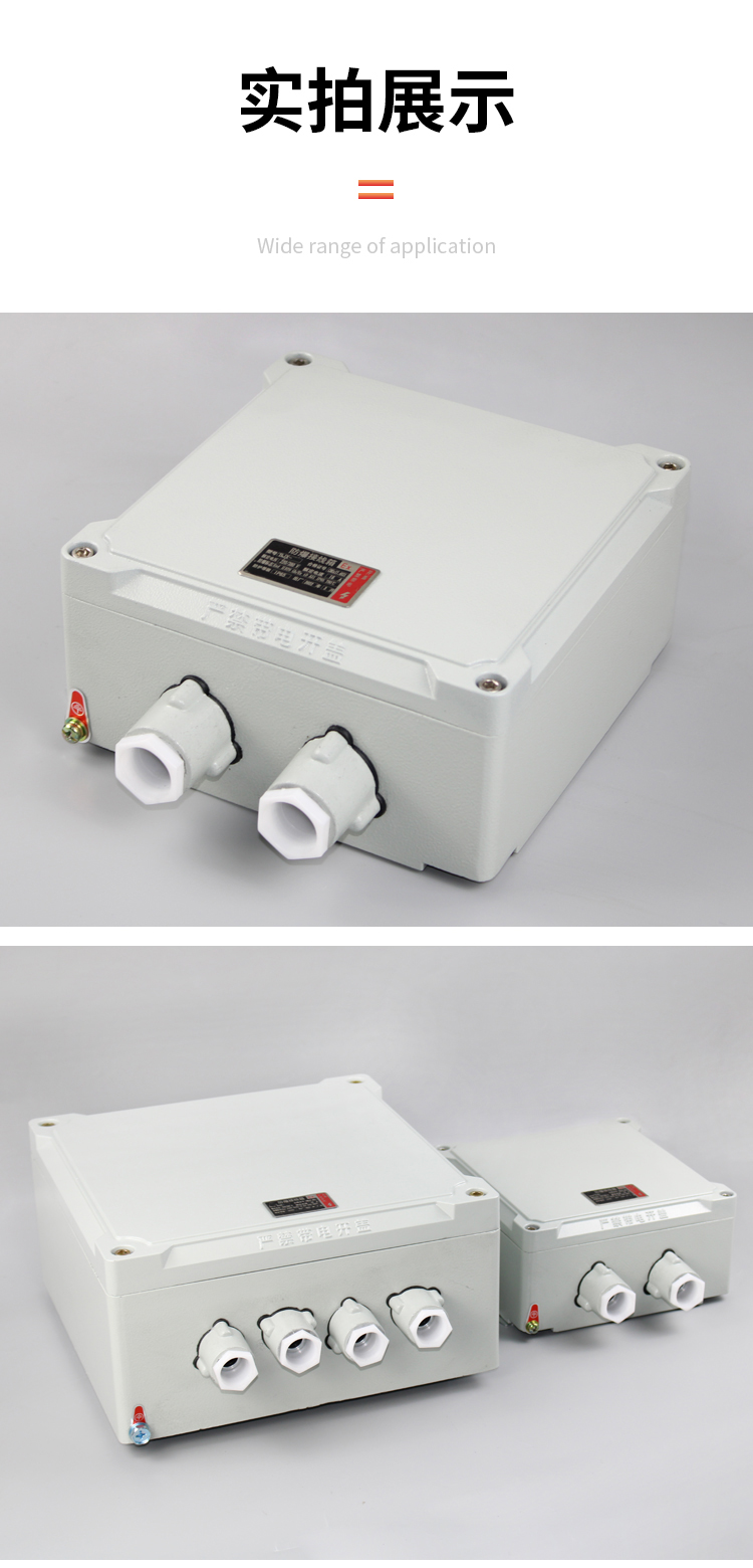 防爆配电箱接线端子照明动力操作空箱控制柜不锈钢检修开增安BJX