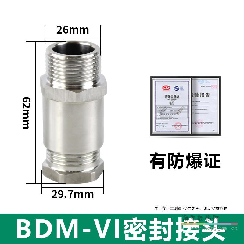 BDM-6『304不锈钢』G1/2