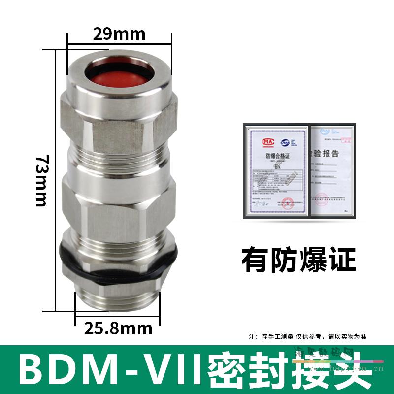 BDM-7『304不锈钢』G1/2