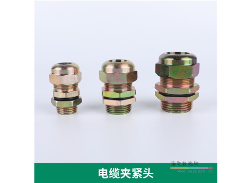 BDM防爆电缆夹紧密封接头喇叭口堵头补芯压紧螺管件4/6分一寸DN15