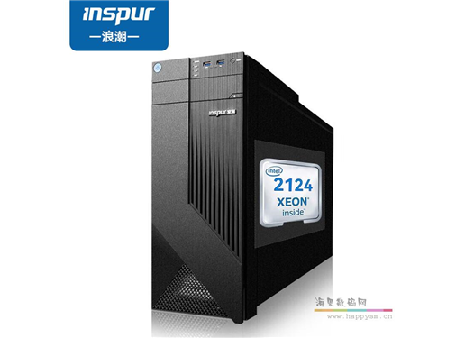 浪潮 英信 NP3020 M5 英信 塔式服务器