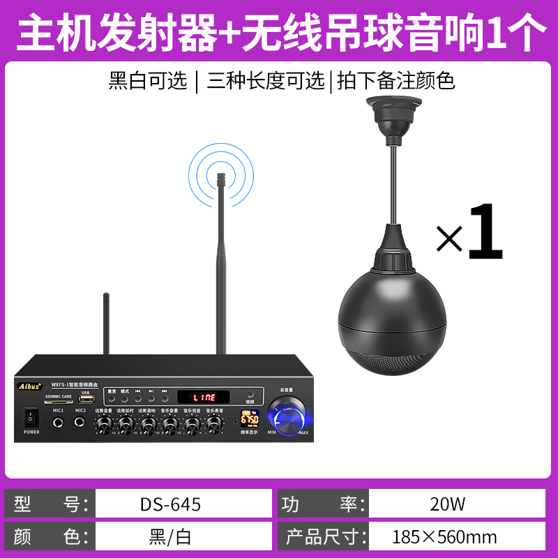 主机发射器+无线同轴吊球