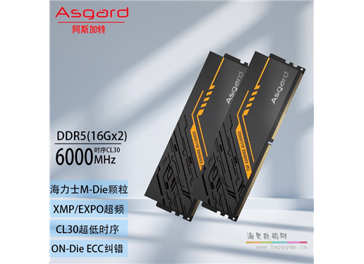 阿斯加特 金伦加&TUF 联名款 DDR5 6000 32G 套装