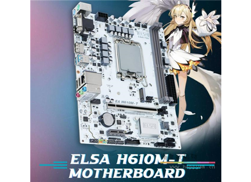 艾尔莎 ELSA H610M-T 主板
