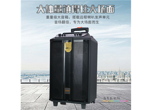 科达KODA 户外广场舞蓝牙音响皇朝三代KD-801A移动K歌